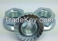 Flange Nut DIN 6923