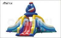 Inflatable Slide
