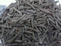 Long Pepper