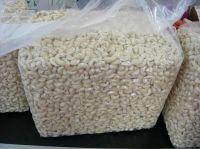 Raw and processed cashew nuts and kernels for sale
