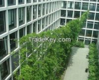 Stainless Steel Rope Mesh Green wall