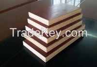 Wenyu Film Faced Board