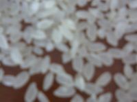 Ordinary Rice ,high Quality Rice High