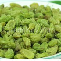 "XinJiang"High Quality Green Raisin/Dried Green Currant