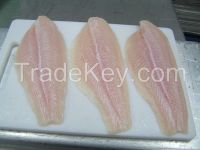 Pangasius