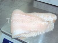 Pangasius