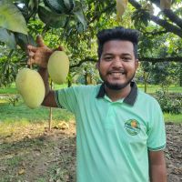 Mangos 