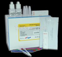 White Spot Syndrome Virus (WSSV) Rapid