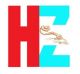 hongzhan electronic co., ltd