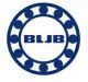 Hangzhou Baolijia Bearing Co., Ltd.