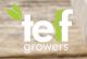 Teff Growers SA (Pty (Ltd)