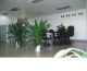 Foshan Sun Lighting Co., Ltd