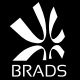 Brads Lodestone Philippines Corporation