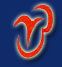 Anping JuLong Animal Byproduct Co.,Ltd.