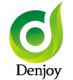 DENJOY DENTAL CO., LTD