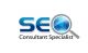 SEO Consultant Specialist