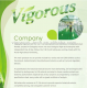 Changsha Vigorous-Tech Co., Ltd