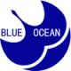 Ningbo Blueocean Auto Parts Company