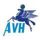 AVH International HK LTD