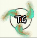 Tornado Girls Imp.& Exp. Co. Ltd