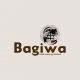 Bagiwa Global Synergy Limited