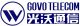 Shanghai GOVO Telecom