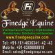 FINEDGE EQUINE