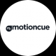 Motion cue