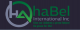 Habel International Inc 