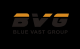 Blue Vast Group Limited