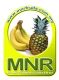 MNR FRUIT TRADERS SDN BHD