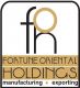 FORTUNE ORIENTAL HOLDINGS LIMITED