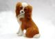 SHANDONG HEZE HENGFANG  LEATHER AND FUR CRAFTS CO., LTD