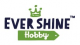 Ningbo Ever Shine Handy Craft Co., Ltd.