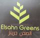 Elsahn greens co.