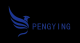 Jiangsu Pengying Auto Parts Co., Ltd