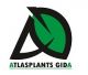 Atlas Plants Gida