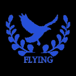 Chongqing Flying Import And Export Trading Co., Ltd.