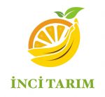 Inci International Fruits