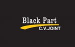 Taizhou Black Part Autoparts Co., Ltd