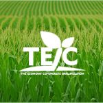 TEC.ORG