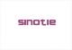 Hongkong Sinotie International Limited