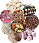 Nonye Export  Import  Services