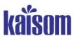Kaisom Hose Power Pty Ltd