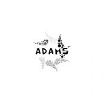 Adams consultancy