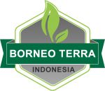 borneo terra indonesia