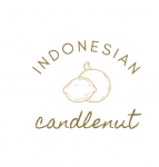 Indonesian Candlenut