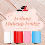 feilong home appliance Group LTD