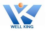 Shenzhen Well King Lighting Co., Ltd.