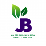coconut java indo